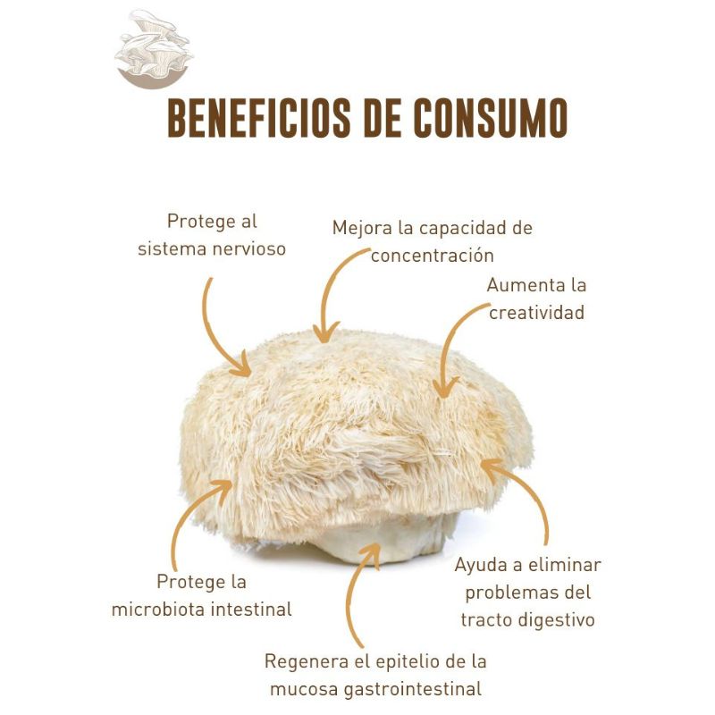 Pack Melena de Leon + Cola de Pavo Cápsulas Vegetales