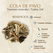 Pack Melena de Leon + Cola de Pavo Cápsulas Vegetales