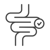 gut-health.webp